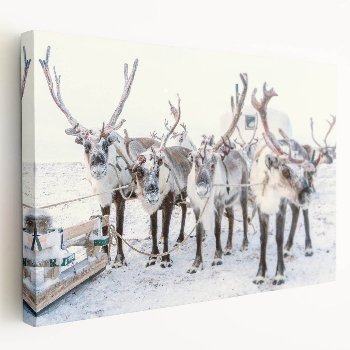 Winter landscape with muted blue and white tones on a large stretched canvas, suitable for kitchen wall art.
