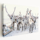 Winter landscape with muted blue and white tones on a large stretched canvas, suitable for kitchen wall art.