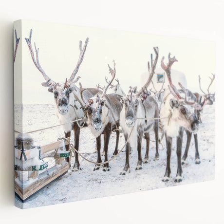 Winter landscape with muted blue and white tones on a large stretched canvas, suitable for kitchen wall art.