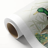 Mallard Duck by Audubon - Romanticism Wildlife Art Print