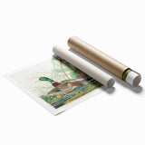 Mallard Duck by Audubon - Romanticism Wildlife Art Print