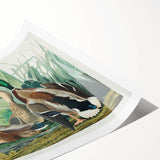 Mallard Duck by Audubon - Romanticism Wildlife Art Print