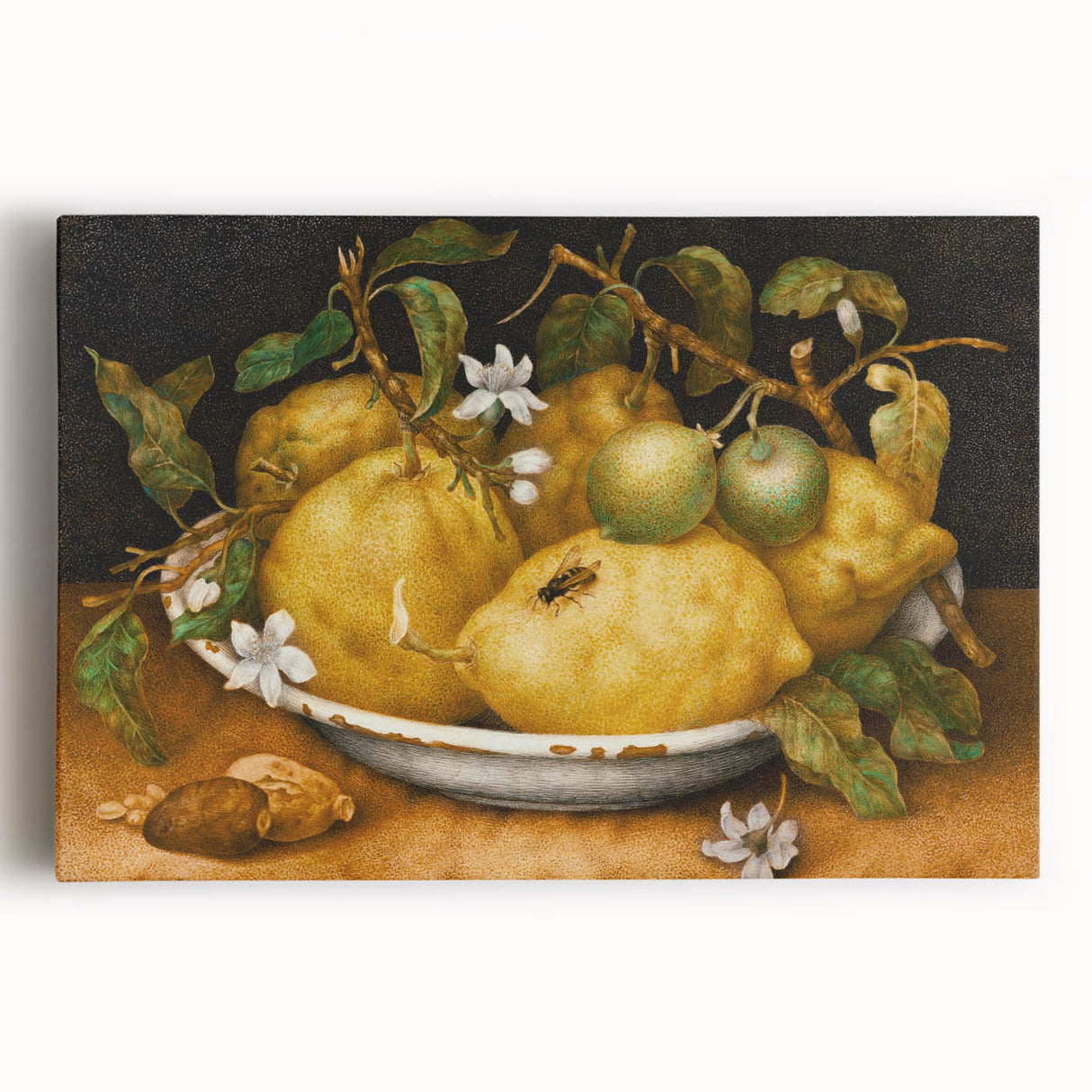 Baroque and Rococo Art Print – Antique Art with Elegant Designs