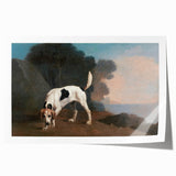 Foxhound by George Stubbs - Romanticism Animal Art Print