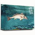 Realism Art Prints - Channel Bass by Winslow Homer Underwater Fish Art