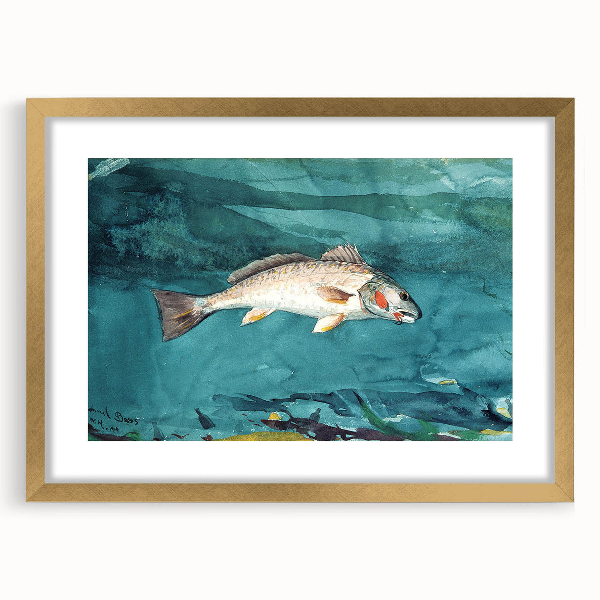 Realism Art Prints - Channel Bass by Winslow Homer Underwater Fish Art