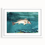 Realism Art Prints - Channel Bass by Winslow Homer Underwater Fish Art