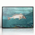 Realism Art Prints - Channel Bass by Winslow Homer Underwater Fish Art