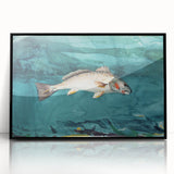 Realism Art Prints - Channel Bass by Winslow Homer Underwater Fish Art