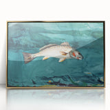 Realism Art Prints - Channel Bass by Winslow Homer Underwater Fish Art