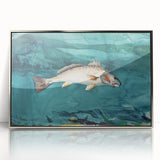 Realism Art Prints - Channel Bass by Winslow Homer Underwater Fish Art