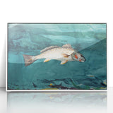 Realism Art Prints - Channel Bass by Winslow Homer Underwater Fish Art