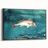 Realism Art Prints - Channel Bass by Winslow Homer Underwater Fish Art