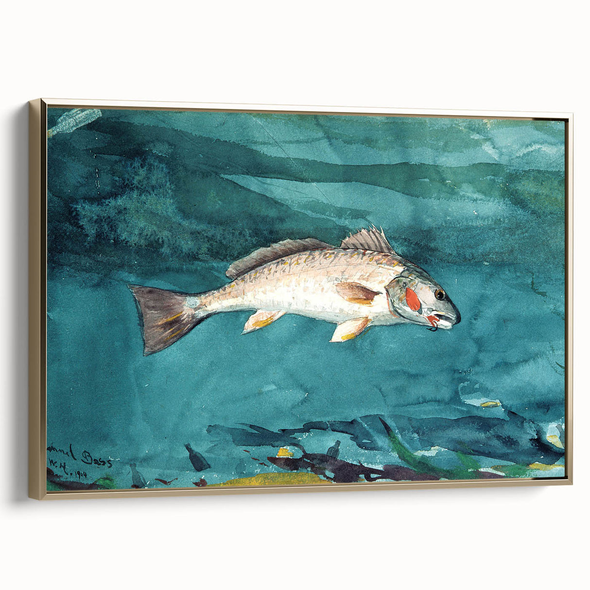 Realism Art Prints - Channel Bass by Winslow Homer Underwater Fish Art