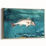 Realism Art Prints - Channel Bass by Winslow Homer Underwater Fish Art