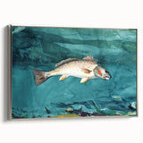 Realism Art Prints - Channel Bass by Winslow Homer Underwater Fish Art