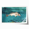 Realism Art Prints - Channel Bass by Winslow Homer Underwater Fish Art