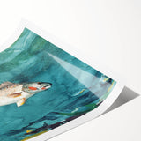 Realism Art Prints - Channel Bass by Winslow Homer Underwater Fish Art