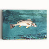 Realism Art Prints - Channel Bass by Winslow Homer Underwater Fish Art