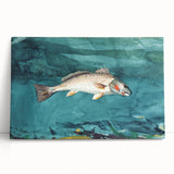 Realism Art Prints - Channel Bass by Winslow Homer Underwater Fish Art