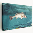 Realism Art Prints - Channel Bass by Winslow Homer Underwater Fish Art