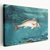 Realism Art Prints - Channel Bass by Winslow Homer Underwater Fish Art