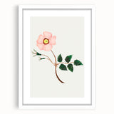 Wild Rose by Mary Altha Nims - Romanticism Botanical Art Print
