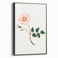 Wild Rose by Mary Altha Nims - Romanticism Botanical Art Print