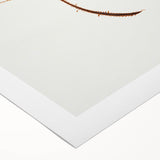 Wild Rose by Mary Altha Nims - Romanticism Botanical Art Print