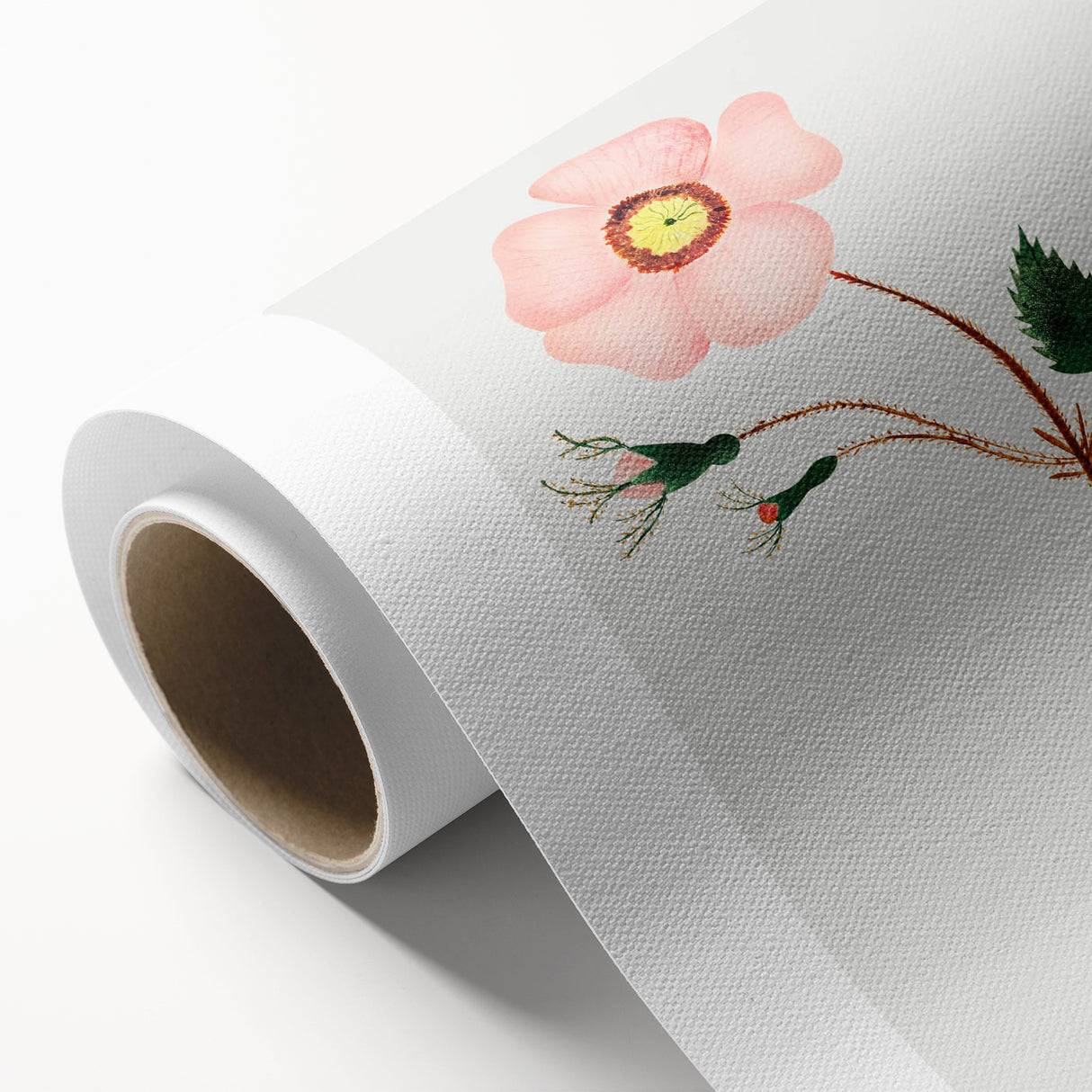 Wild Rose by Mary Altha Nims - Romanticism Botanical Art Print