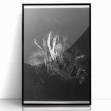 Moody Black & White Expressionist Wall Art - Abstract Tree Design
