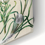 Realism Art Prints - Classical Realism Floral Art on Canvas and Acrylic