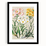 Realism Art Prints - Classical Realism Floral Art on Canvas and Acrylic