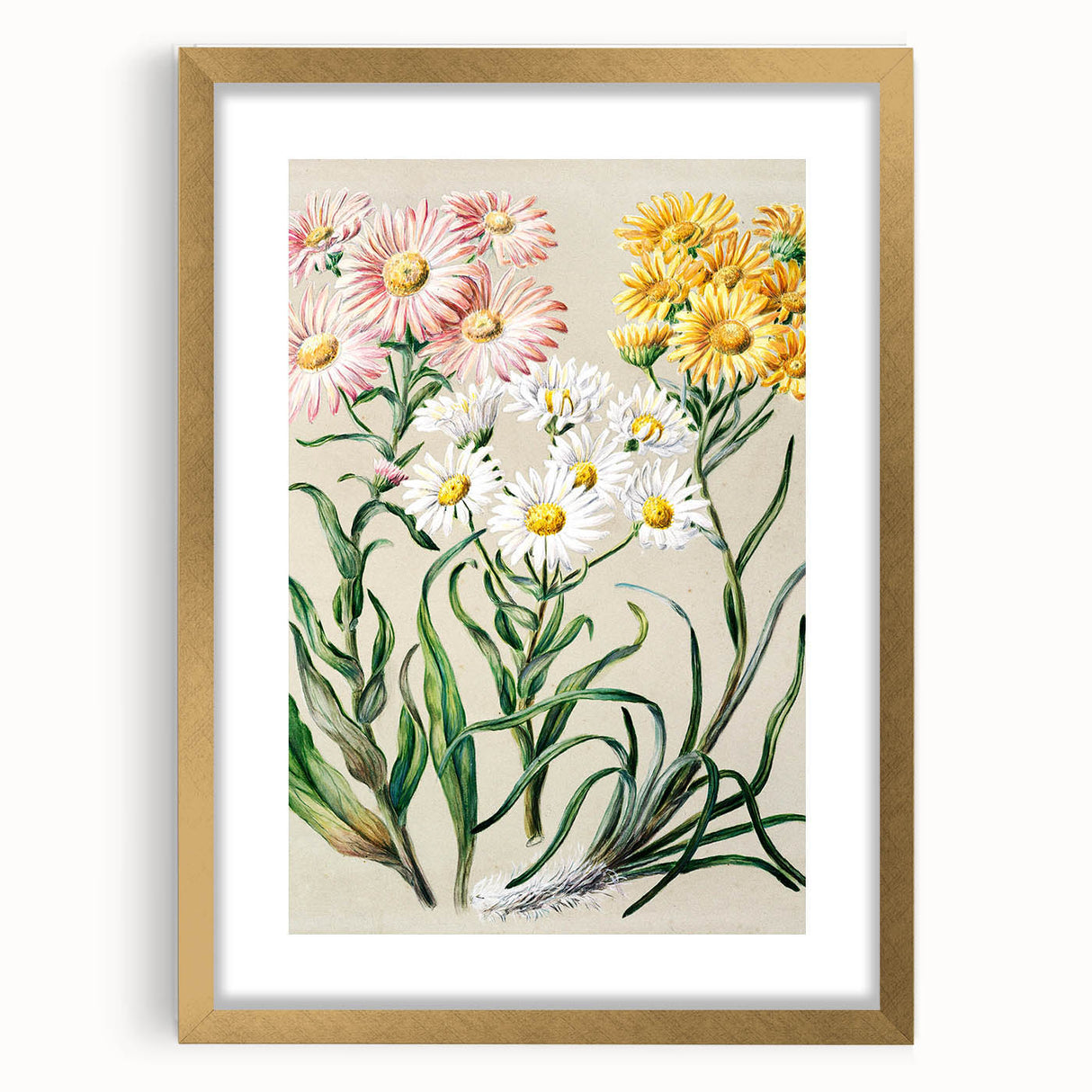 Realism Art Prints - Classical Realism Floral Art on Canvas and Acrylic