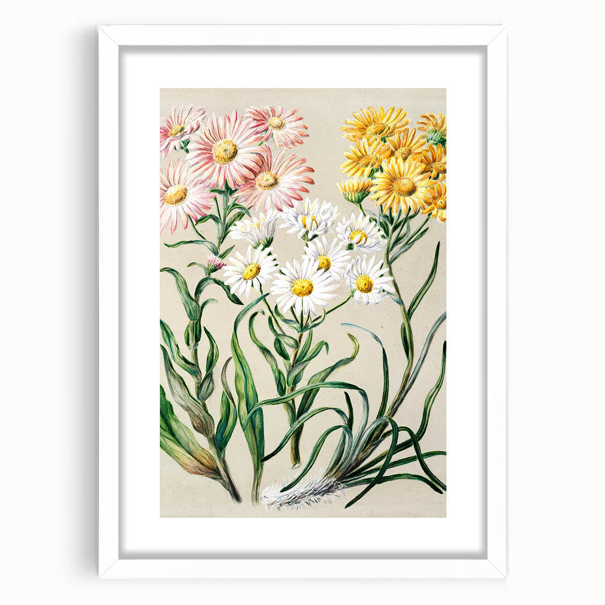 Realism Art Prints - Classical Realism Floral Art on Canvas and Acrylic