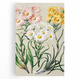 Realism Art Prints - Classical Realism Floral Art on Canvas and Acrylic