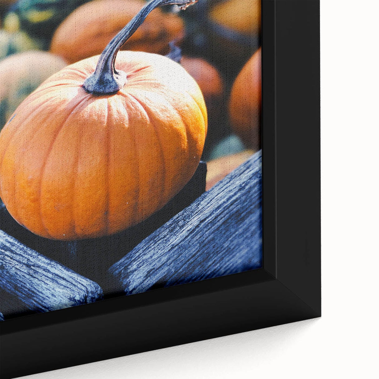 Extra large framed canvas featuring textured, colorful art of fall trees against a black background.