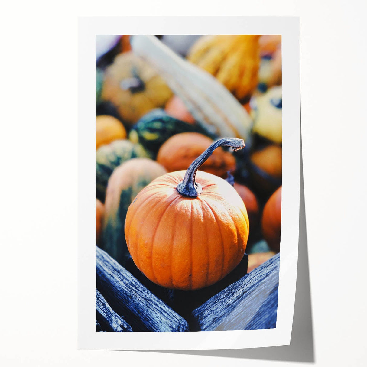 Extra large rolled print of a floral art depicting autumn foliage in muted orange and brown tones.