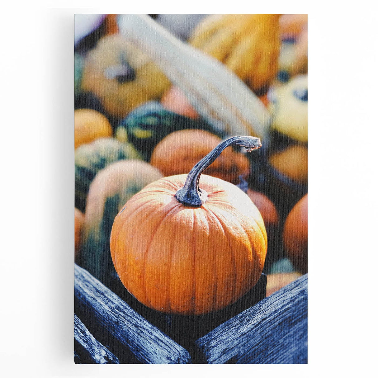 Large black and white abstract depiction of autumn trees on stretched canvas, ideal for kitchen wall art.
