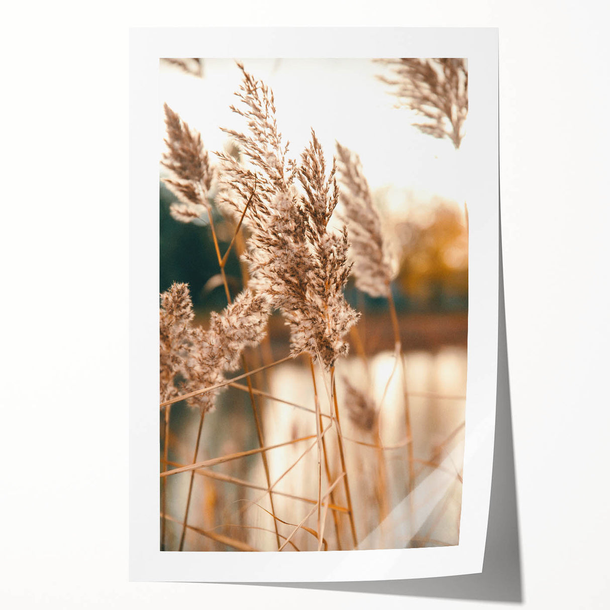 Extra large rolled print of summer floral art in vibrant colors, ideal for dining room wall decor.