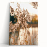 Large black and white stretched canvas featuring a minimalist summer tree design.