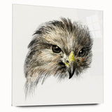 Head of a Bird of Prey by Jean Bernard - Romantic Wildlife Art Print