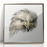 Head of a Bird of Prey by Jean Bernard - Romantic Wildlife Art Print