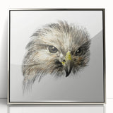 Head of a Bird of Prey by Jean Bernard - Romantic Wildlife Art Print