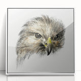 Head of a Bird of Prey by Jean Bernard - Romantic Wildlife Art Print