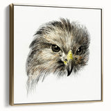 Head of a Bird of Prey by Jean Bernard - Romantic Wildlife Art Print