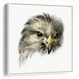 Head of a Bird of Prey by Jean Bernard - Romantic Wildlife Art Print