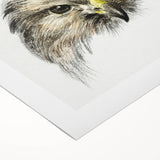 Head of a Bird of Prey by Jean Bernard - Romantic Wildlife Art Print