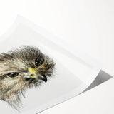 Head of a Bird of Prey by Jean Bernard - Romantic Wildlife Art Print