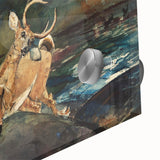 Realism Art Prints - Dramatic Deer Scene in Nature on Canvas and Acrylic